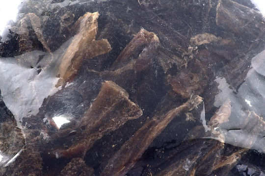 Maced Chews Λιχουδιές Σκύλου με Βοδινό 1kg