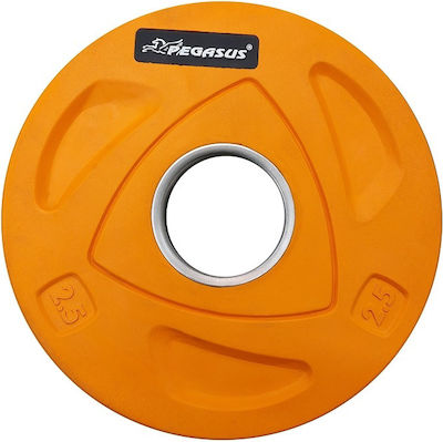 Pegasus Scheibenset Olympischen Typs Metall 1 x 20kg Φ50mm