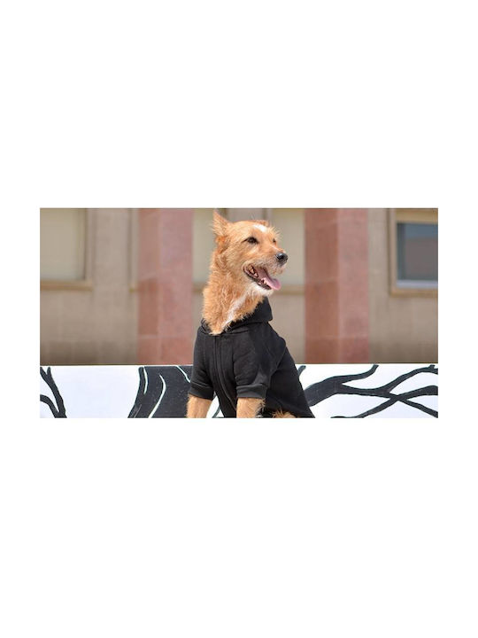Dashi Sweatshirt Hund in Schwarz Farbe 37x62x34cm.