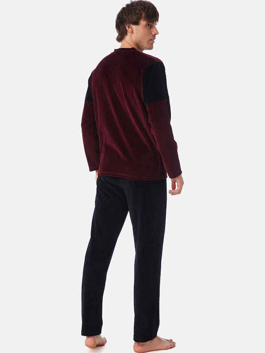 Minerva Bull Burgundy