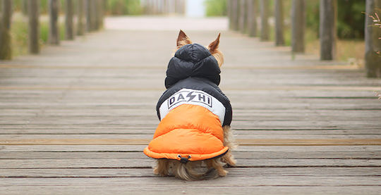 Dashi Orange Waterproof Dog Coat Large with 42cm Back Length