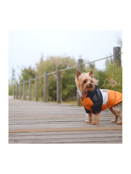 Dashi Haine pentru câini Impermeabil Orange Medium cu Lungimea Spateului 38 cm