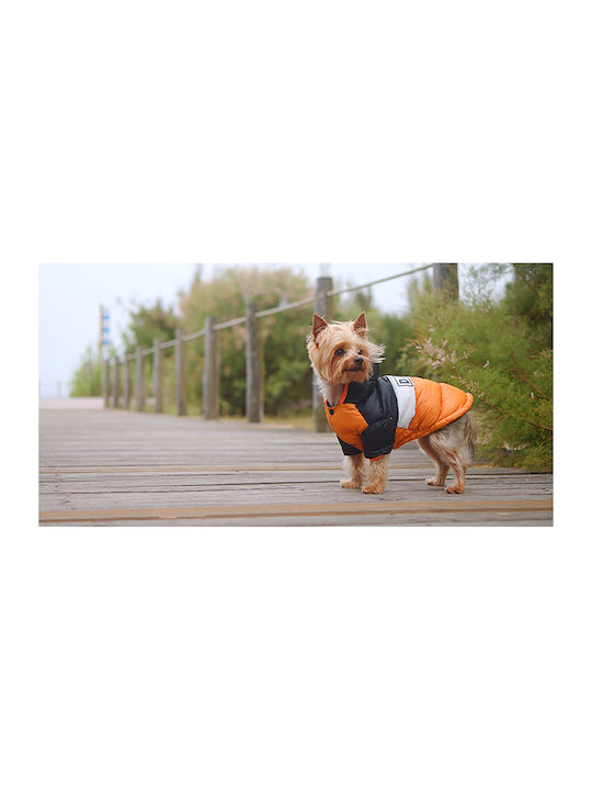Dashi Haine pentru câini Impermeabil Orange Medium cu Lungimea Spateului 38 cm