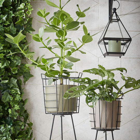 Edelman Plant Pot Ceramic Green