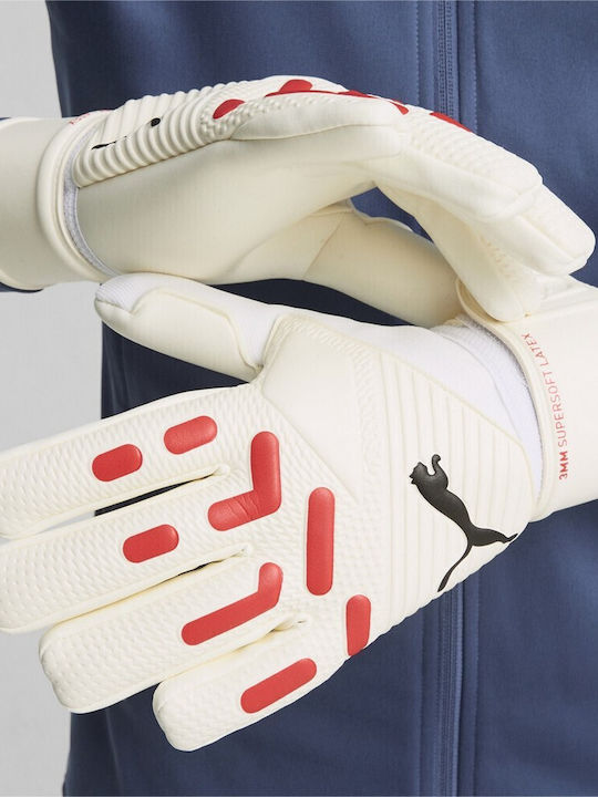 PUMA Future Match NC Adults Goalkeeper Gloves White