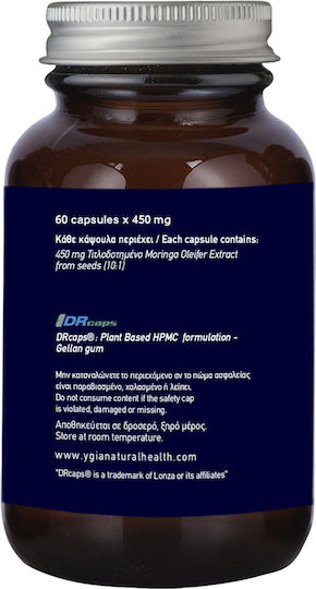 Ygia Moringa Olifeira 10:1 Extract 450mg 60 veg. caps