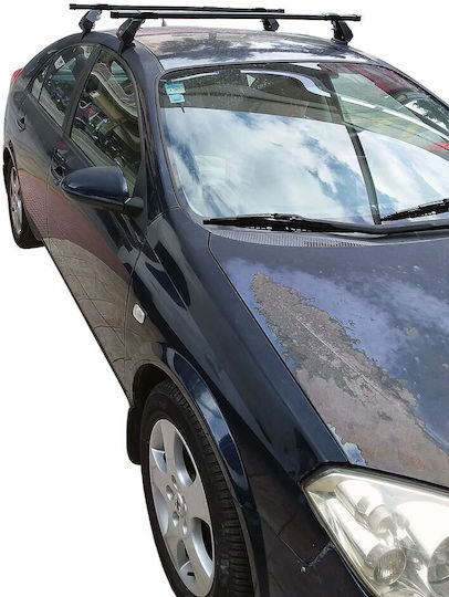 Hermes Kit (with Roof Rack Legs) Silver