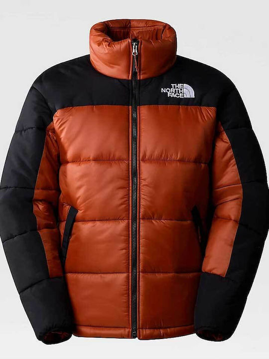 Winter Jacke Braun