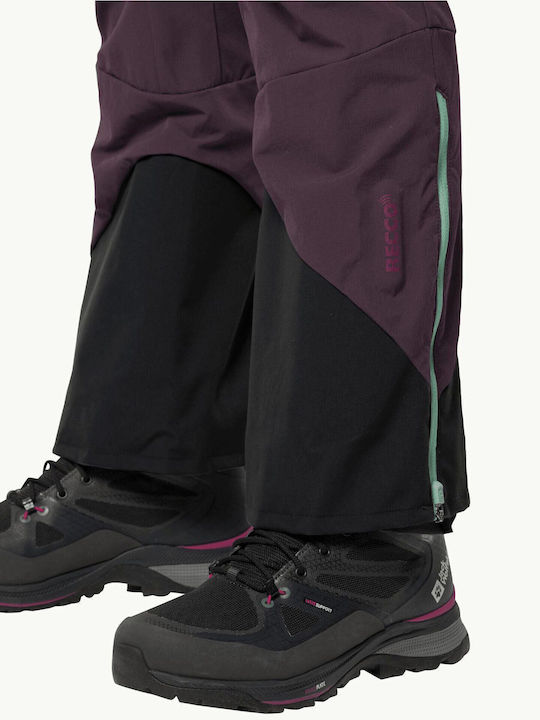 Jack Wolfskin Women's Hiking Long Trousers Purple