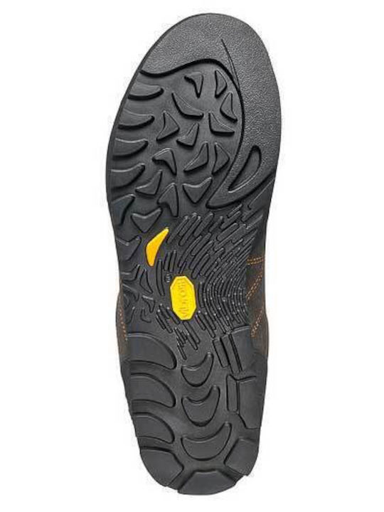 Scarpa Men's Multicolour Hiking Shoes