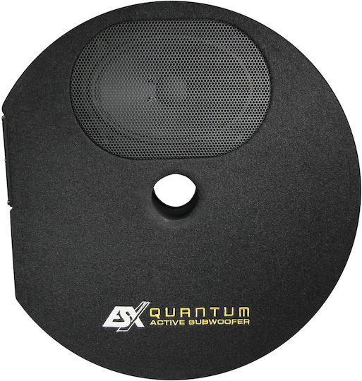 Esx Subwoofer Αυτοκινήτου 300W RMS με Κούτα
