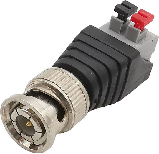 BNC male Connector 1pc