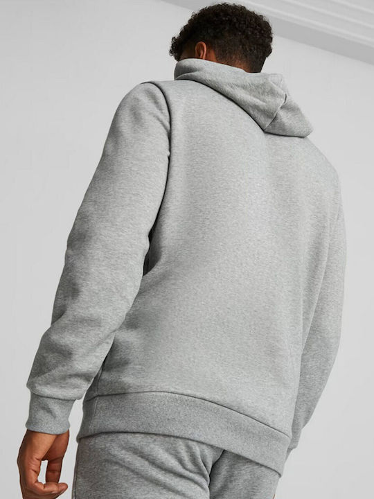 Essential Sweatshirt with Hood Gray