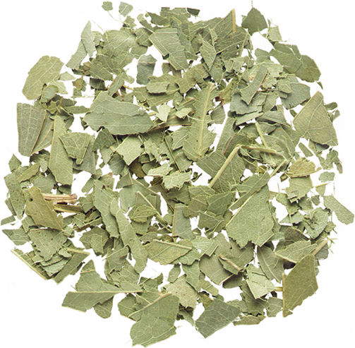 Μεσόγειος Ευκάλυπτος 35gr