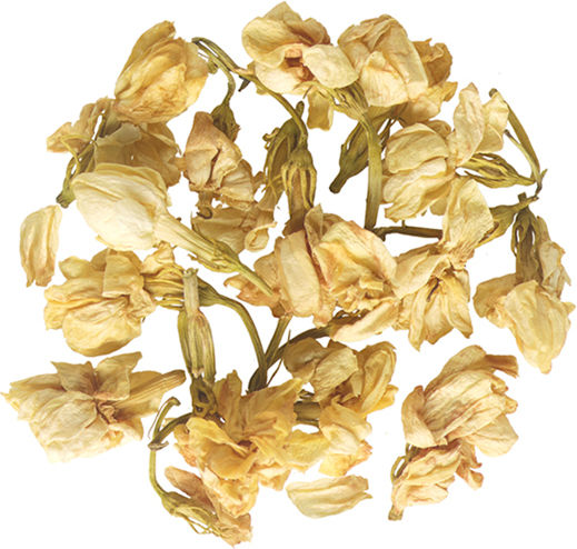 Mesogeios Jasmin 25gr