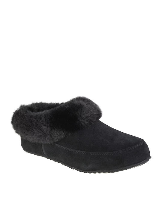 Sorel