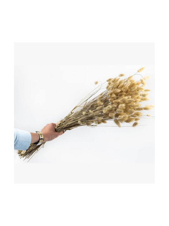 Getrocknete Pflanze 60cm mit LED Selected by Pragmatic
