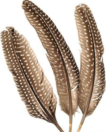 Knorr Prandell Craft Feathers Brown Set of 8pcs