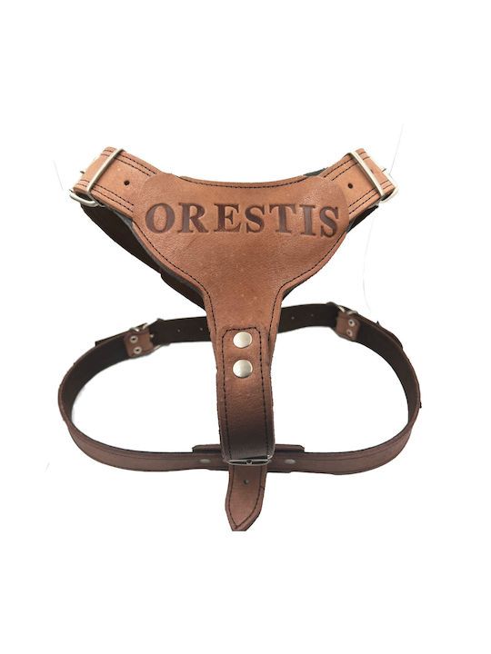 ByLeather Σαμαράκι Σκύλου Δερμάτινο Κόκκινο Large 10964