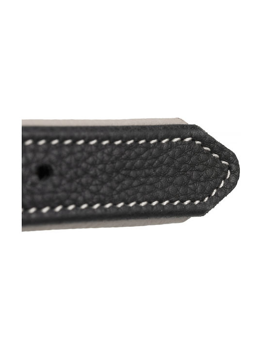Trixie Active Comfort Leather Dog Collar in Brown Color Medium 39 - 46cm