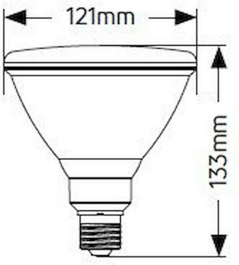 Geyer LED Bulb 15W for Socket E27 and Shape PAR38 Green 1350lm