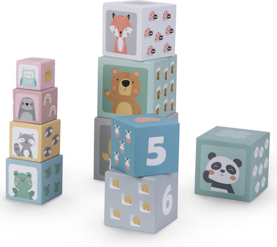 Aktivitätswürfel Animal Box für 12++ Monate