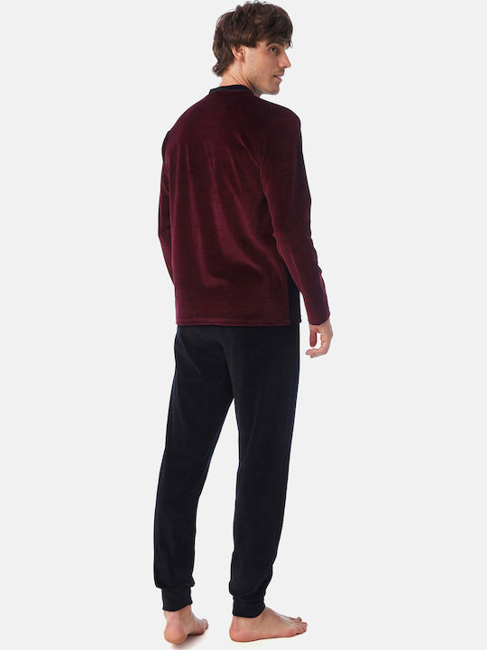 Minerva Bull Burgundy
