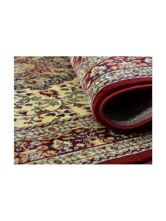 Eurofil 7247 Rug Rectangular with Fringes Cordoba Cherry