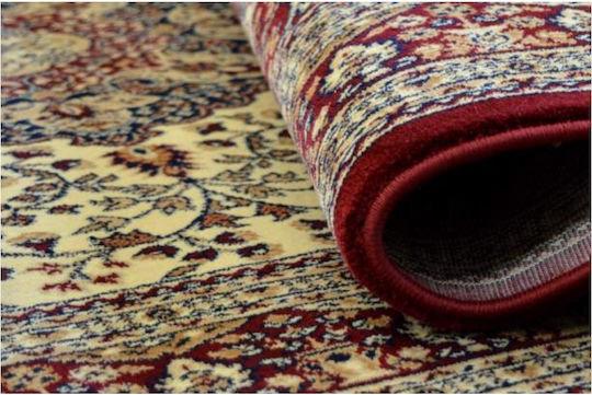 Eurofil 7247 Teppich Rechteckig Synthetisch,Polyester/Cotton/Leather mit Fransen Cordoba Cherry