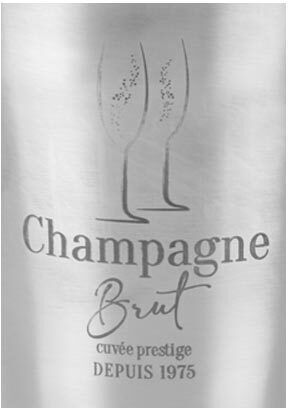 Champagners simple Inox cu dimensiunile 22x22x21cm
