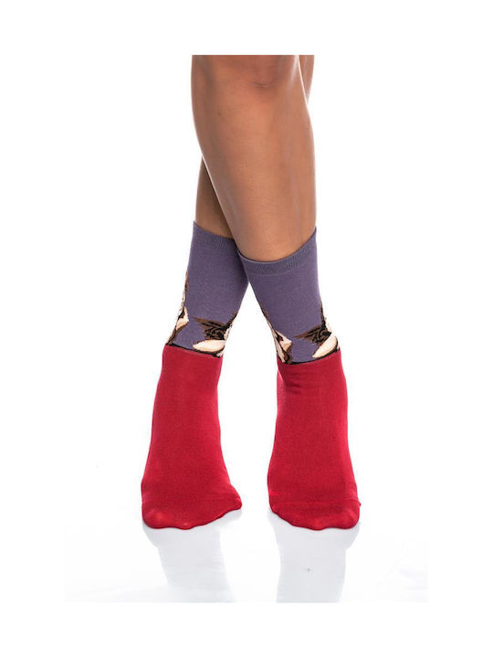 Inizio Women's Socks BORDO/LILA