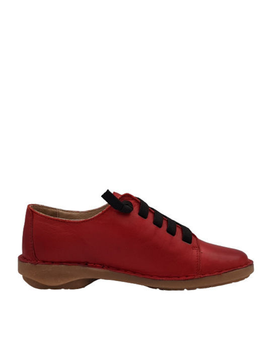 Creator Anatomical Sneakers Red