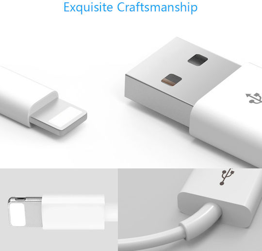 Iphone USB-A to Lightning Cable 1m (CABLE1)