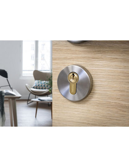 Thirard Lock Cylinder Half 50mm (40-10) with 3 Keys Gold