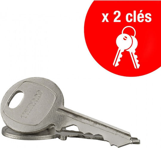 Thirard Steel Padlock Brass with Key 40mm 1pcs