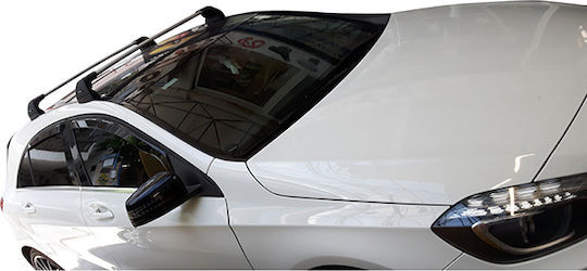 Yakima (with Roof Rack Legs) Silver