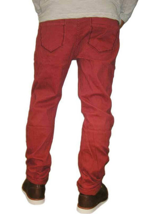 Hose Bordeaux