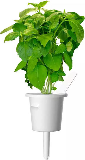 Click and Grow Σπόροι Βασιλικός 3τμχ
