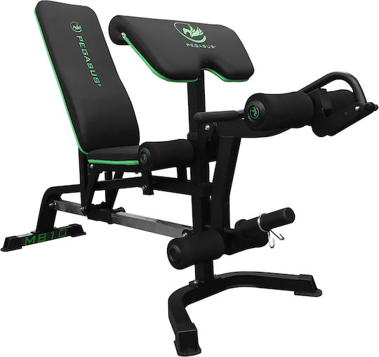 Pegasus MB10 Einstellbar Workout-Bank Bizeps