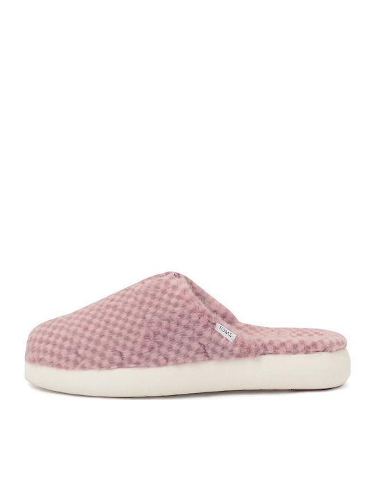 Toms Slippers Purple