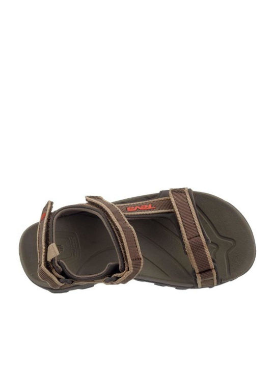 Teva