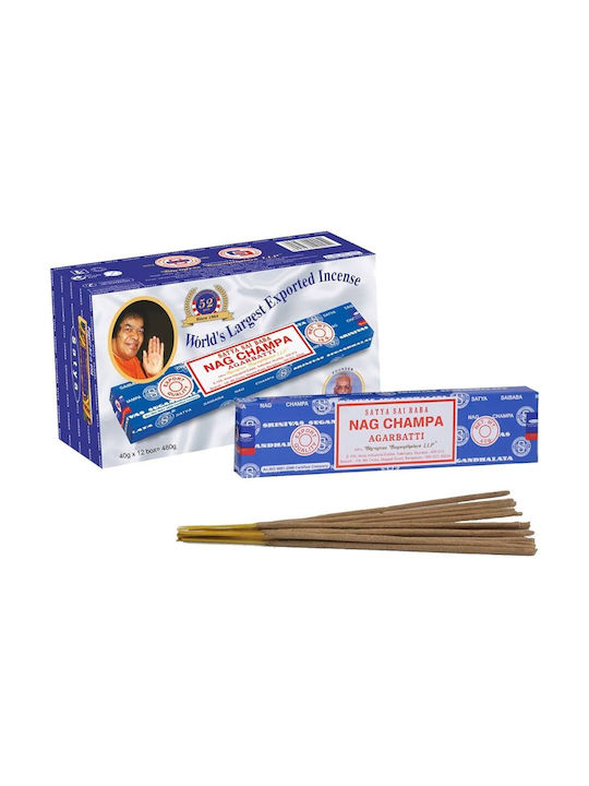 Satya Αρωματικά Sticks Champa 1040 40gr