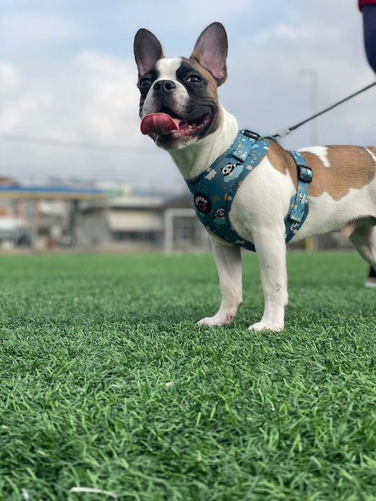 Loveboom Dog Harness LB-001
