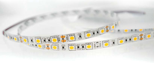 Lucas Ταινία LED 12V Ψυχρό Λευκό Φως 5m Τύπου SMD5050