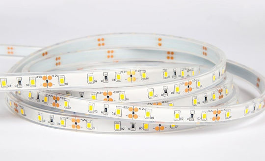 VK Lighting Waterproof LED Strip 12V Warm White Light 5m Type SMD3528