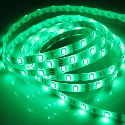 Adeleq LED Streifen Versorgung 12V mit Grün Licht Länge 5m und 60 LED pro Meter SMD5050