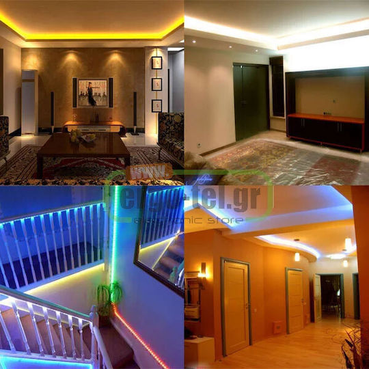 Adeleq Bandă LED 12V Verde Lumină 5m Tip SMD5050