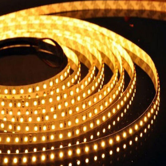 Adeleq Waterproof LED Strip 220V Warm White Light 25m Type SMD2835 with Power Supply