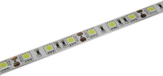 Lucas Αδιάβροχη Ταινία LED 12V Φυσικό Λευκό Φως 5m Τύπου SMD5050