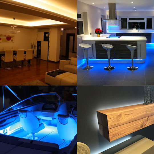 Redled Bandă LED 12V RGB Lumină 5m